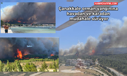 Çanakkale'de orman yangını...