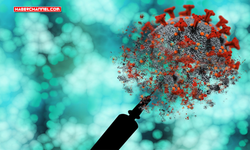 Mpox virüsünün yeni bir varyantı tespit edildi...