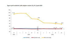 TÜİK: "İstihdam endeksi 4'üncü çeyrekte yüzde 1,1 arttı"