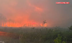 ABD'de orman yangınlarında 120'den fazla ev yandı