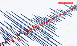 Japonya'da 7.1 büyüklüğünde deprem