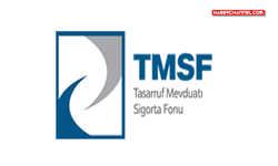 TMSF, Ahbap Derneği’ne bağlı şirketlere kayyım olarak atandı