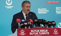 Destici: "Tüm şüpheler aydınlatılana kadar takipçisi olacağız"