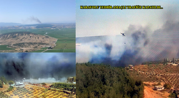 İzmir’de orman yangını!..