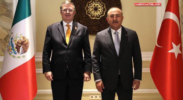 Meksika Dışişleri Bakanı Marcelo Casaubon, Türkiye'ye geliyor
