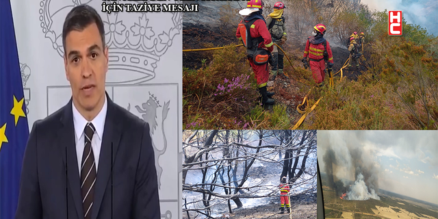 Fransa ve İspanya’da orman yangınlarıyla mücadele devam ediyor!..