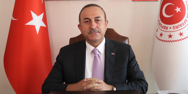 Dışişleri Bakanı Çavuşoğlu'ndan 'İnsan Hakları Günü' mesajı