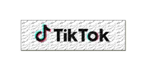 TikTok, Kanada devletine ait mobil cihazlarda yasaklandı...