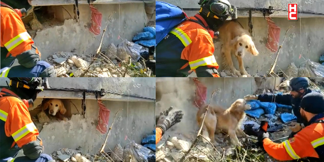 Portekiz’den gelen ekip Antakya’da bir köpeği kurtardı...