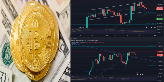 Bitcoin, 24.000 dolar sınırında fiyatlanmaya devam ediyor...