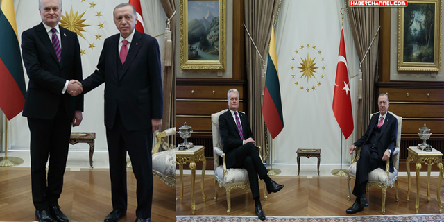 Cumhurbaşkanı Erdoğan, Litvanya Cumhurbaşkanı Nauseda ile görüştü...