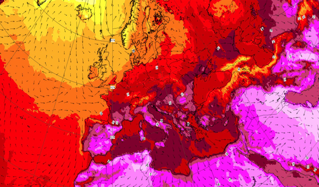 Dünya Meteoroloji Örgütü: "Sıcaklıklar rekor kırabilir"