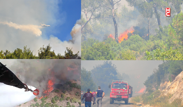 Manisa'da orman yangını; Alevlerin yaklaştığı bir mahalle tahliye edildi