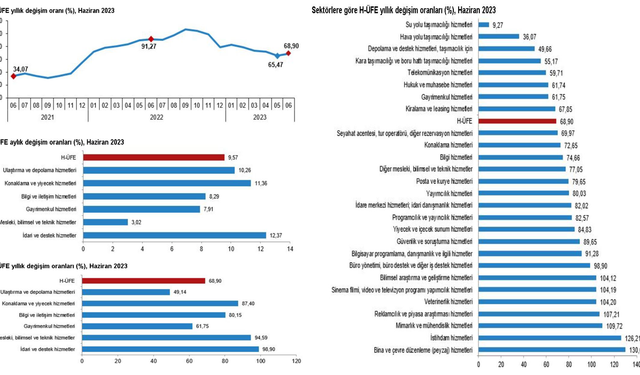 Hizmet üretici enflasyonu haziranda yüzde 68,90 oldu...