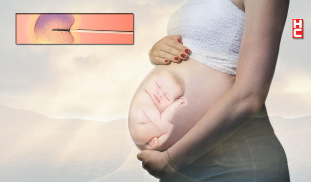 ABD'de embriyoların çocuk sayılması sonrasında 'tüp bebek' çalışmaları durdu