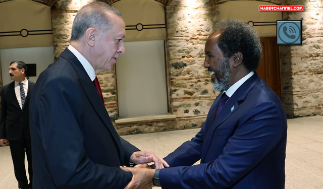 Cumhurbaşkanı Erdoğan, Somali Cumhurbaşkanı Hasan Şeyh Mahmud ile görüştü...