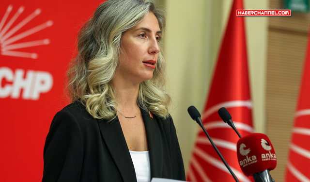 CHP'li Atalar: "Kültür kurumlarını sanatsal liyakatle yönetin"