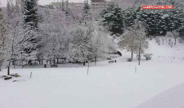Son Dakika: Ankara'da okullar 1 gün süreyle tatil edildi