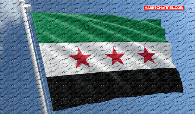 Suriye ordusu: "Şeyh Maksud Mahallesi’ndeki operasyon tamamlandı"