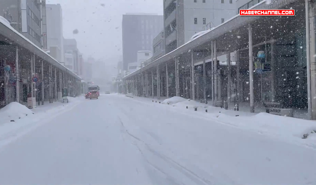 Japonya'da yoğun kar yağışı nedeniyle hayatını kaybedenlerin sayısı 45'e yükseldi