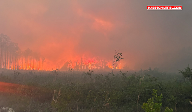 ABD'de orman yangınlarında 120'den fazla ev yandı