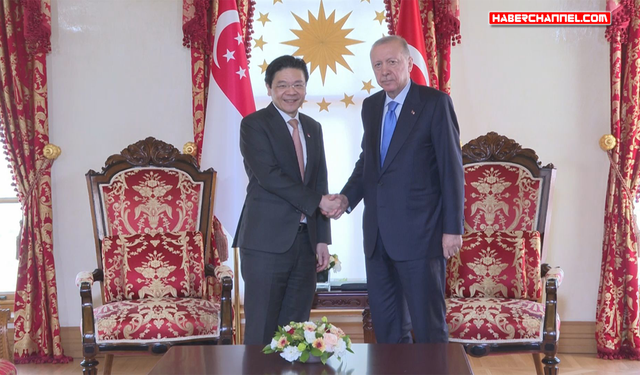 Cumhurbaşkanı Erdoğan, Singapur Başbakanı Lawrence Wong'u kabul etti