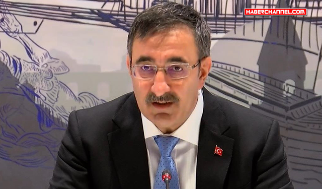 Cevdet Yılmaz: "Dezenflasyon sürecini sürdürmeyi hedefliyoruz"