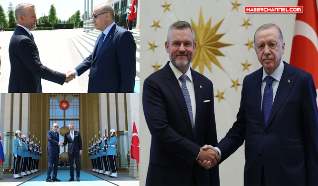 Cumhurbaşkanı Erdoğan, Slovakya Cumhurbaşkanı Peter Pellegrini ile görüştü