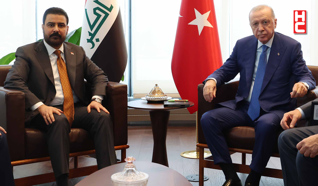 Cumhurbaşkanı Erdoğan, Irak Başbakanı Ali ez-Zeydi'yi kabul etti