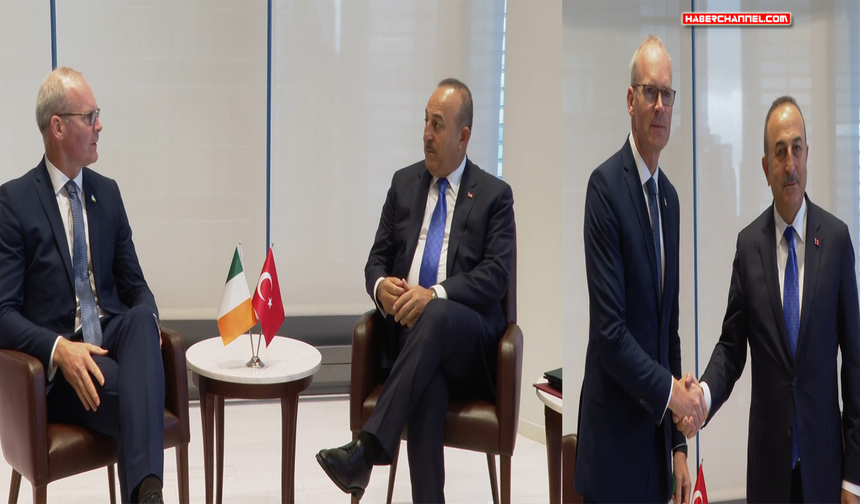 Bakan Çavuşoğlu, İrlanda Dışişleri Bakanı Simon Coveney ile görüştü