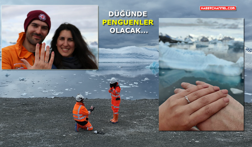 Güney Kutbu’nda 'evlenme' teklifi