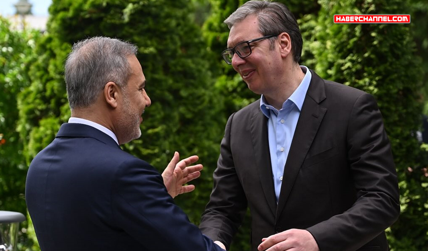 Sırbistan Cumhurbaşkanı Vucic: "Türkiye ile ilişkilerimize özel önem veriyoruz"
