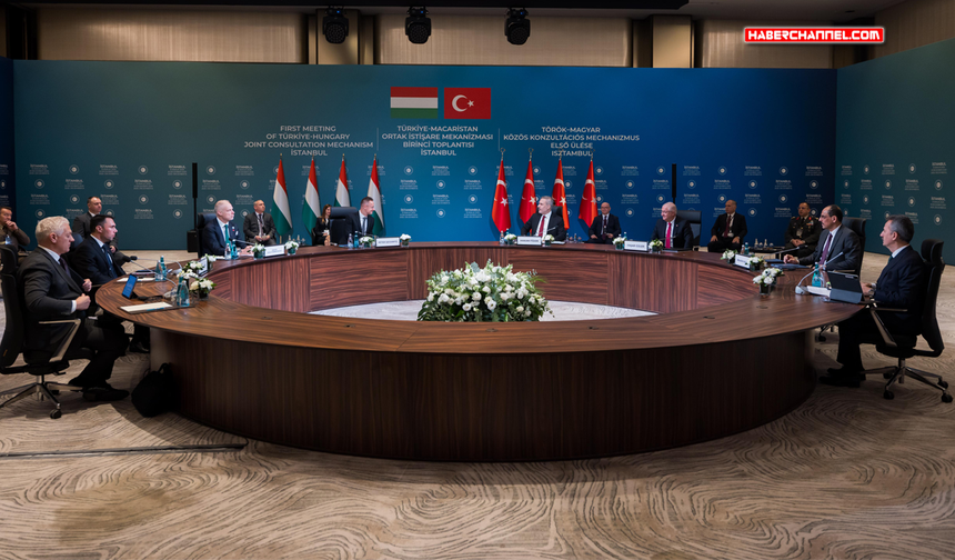 'Türkiye-Macaristan Ortak İstişare Mekanizması Birinci Toplantısı' İstanbul'da başladı...