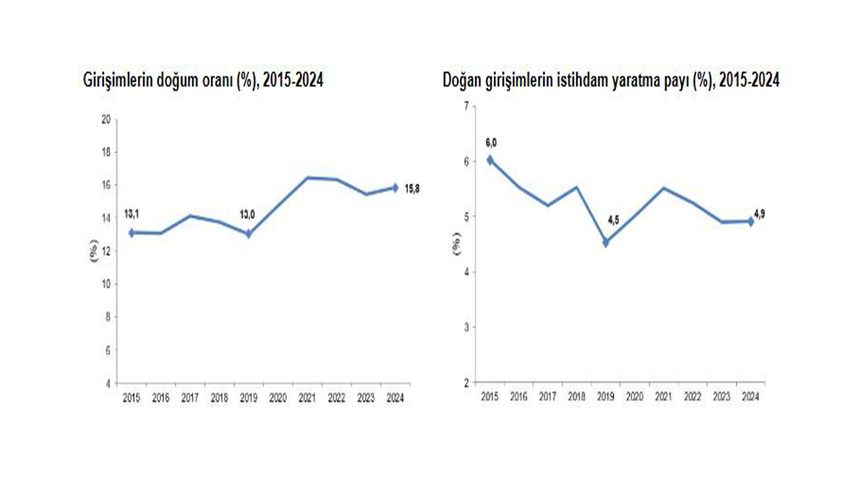 TÜİK: "2024'te kurulan girişimlerin istihdam yaratma payı yüzde 4,9 oldu"