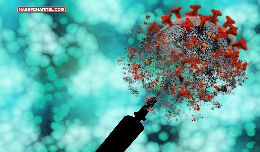 Mpox virüsünün yeni bir varyantı tespit edildi...