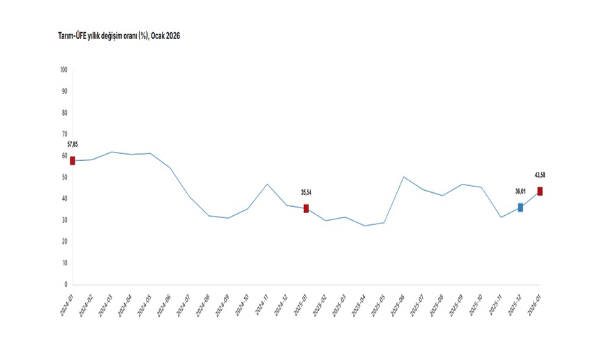 TÜİK: "Tarım ürünleri üretici fiyatları ocakta arttı"