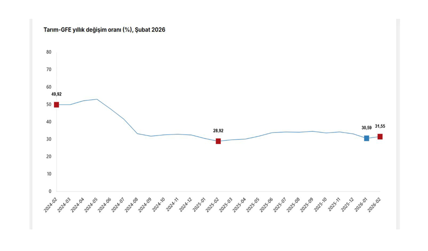TÜİK: "Tarımsal girdi fiyatları şubatta arttı"