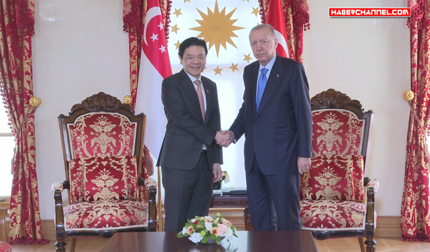 Cumhurbaşkanı Erdoğan, Singapur Başbakanı Lawrence Wong'u kabul etti