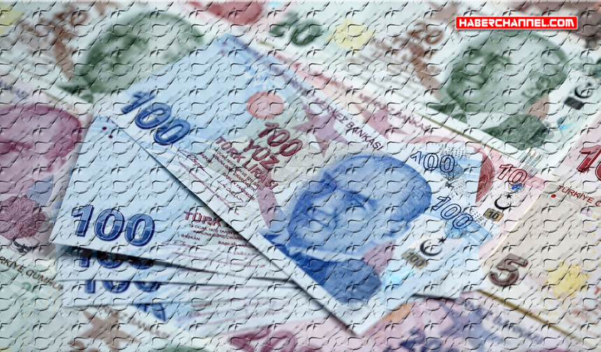 Son Dakika: Merkez Bankası faiz oranını sabit tuttu