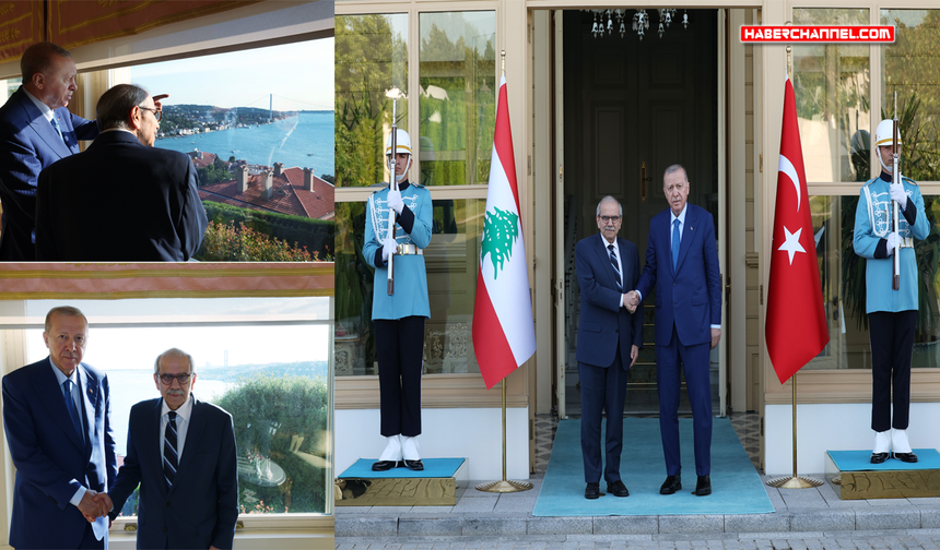 Cumhurbaşkanı Erdoğan, Lübnan Başbakanı Selam'ı kabul etti