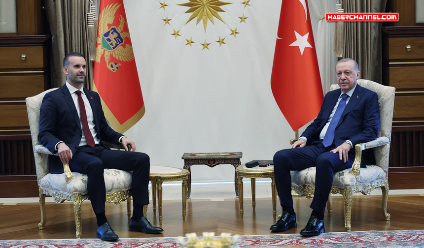 Cumhurbaşkanı Erdoğan, Karadağ Başbakanı Spajic'i kabul etti
