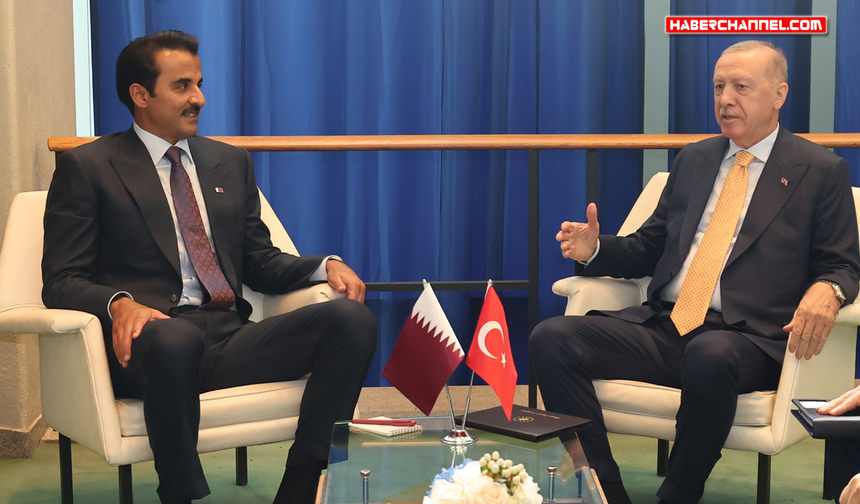 Cumhurbaşkanı Erdoğan, Katar Emiri Al Sani ile bir araya geldi