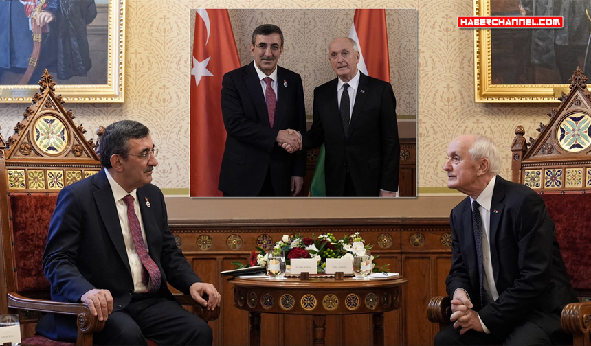 Cumhurbaşkanı Yardımcısı Cevdet Yılmaz, Macaristan Cumhurbaşkanı Andras Baka ile görüştü