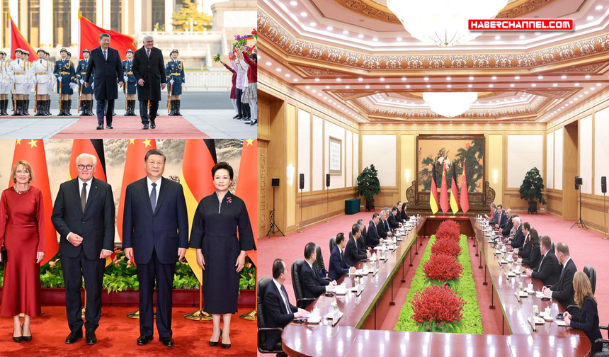 Xi Jinping, Almanya Cumhurbaşkanı Steinmeier ile görüştü