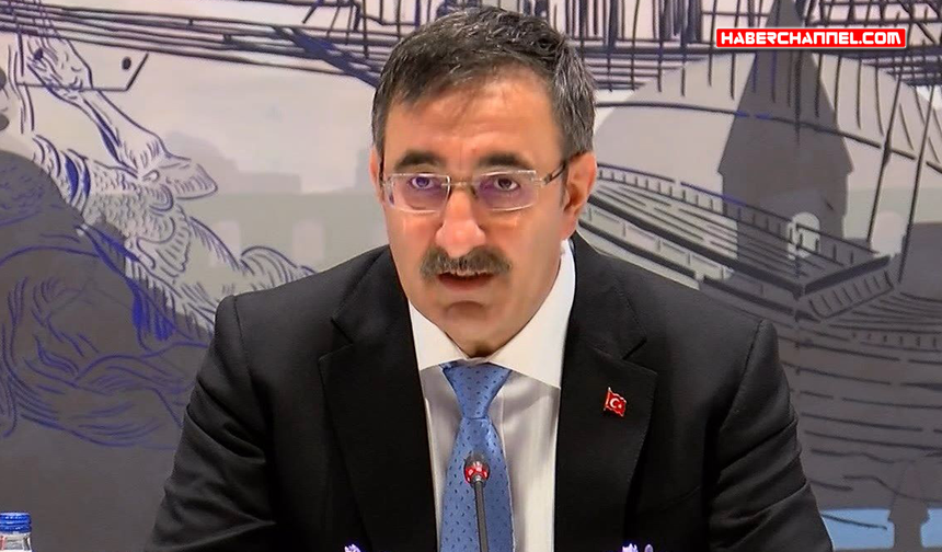 Cumhurbaşkanı Yardımcısı Yılmaz: "Olağan tasfiyeler hızla yapılmaktadır"