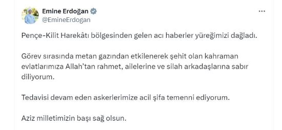 E M I N E E R D O G A N D A N M E T A N G A Z I N A M A R U Z K A L 803345 237800