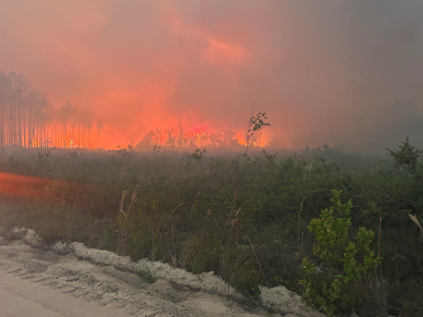 A B D D E O R M A N Y A N G I N L A R I N D A 120 D E N F A Z L A 1279032 380610